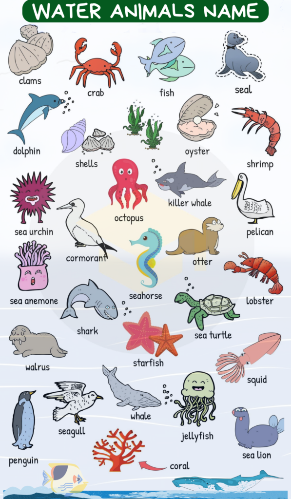 Water animals name 