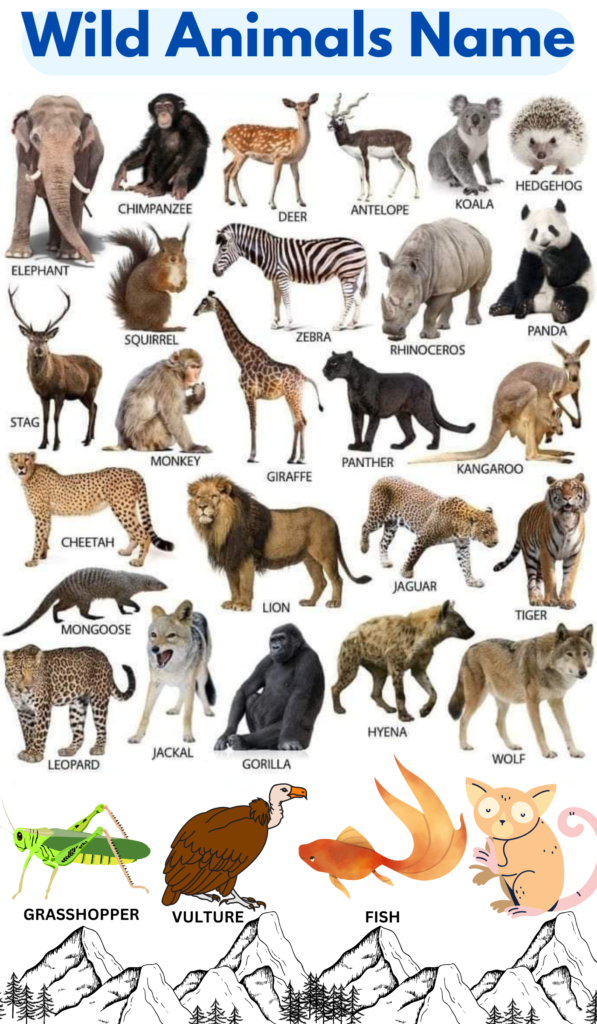 Wild animals name