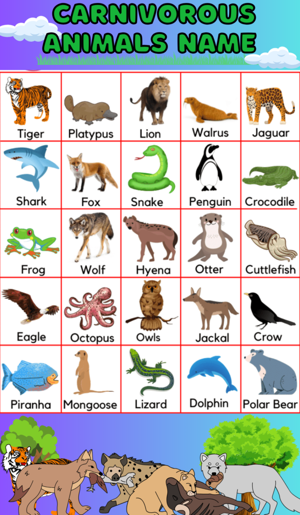 Carnivorous animals name 